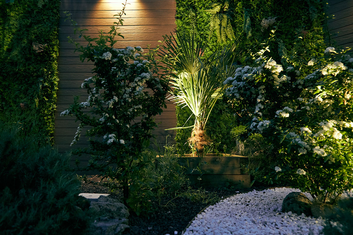 General Oráa · jardín nocturno iluminado