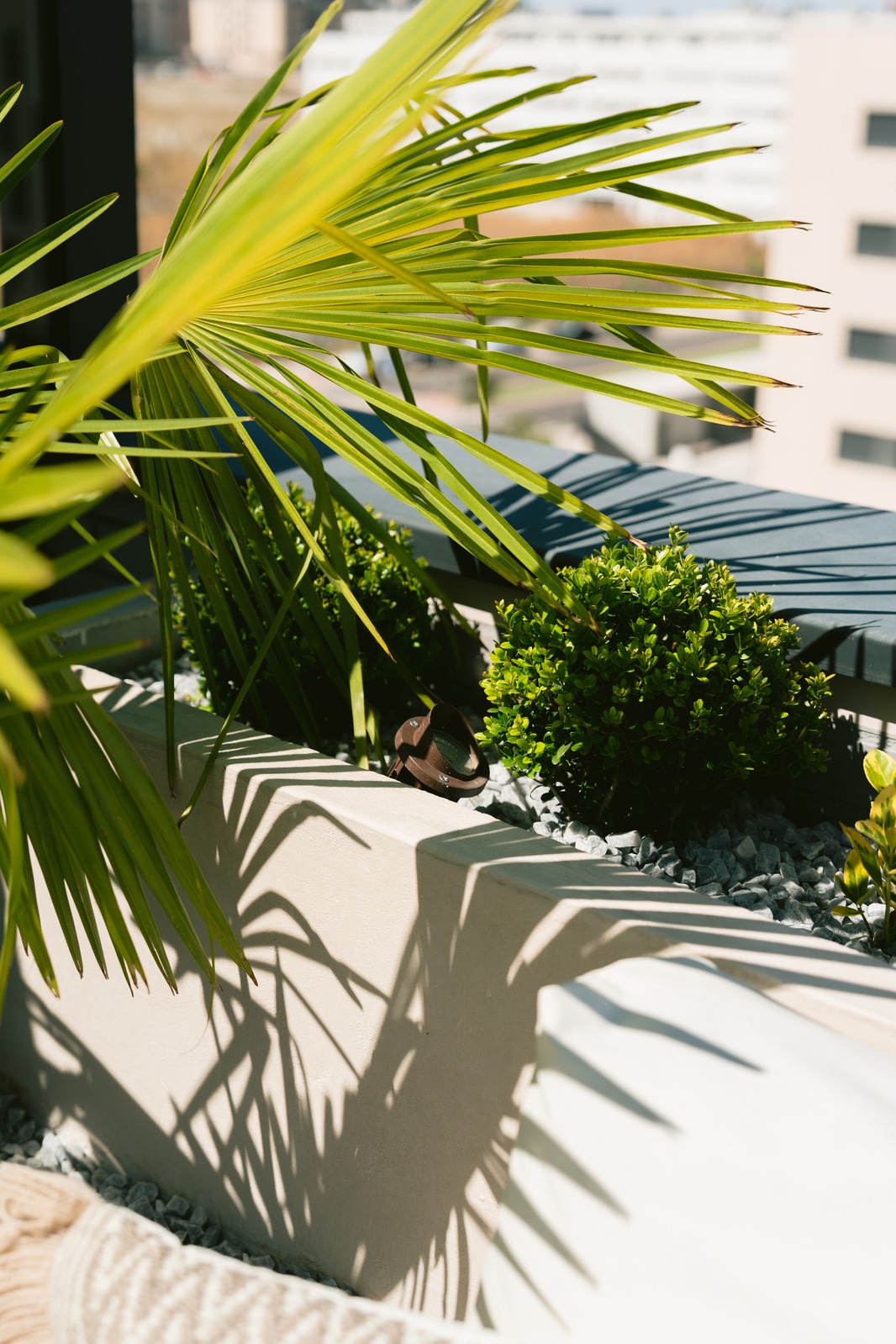 Mistral · jardinera con palmito